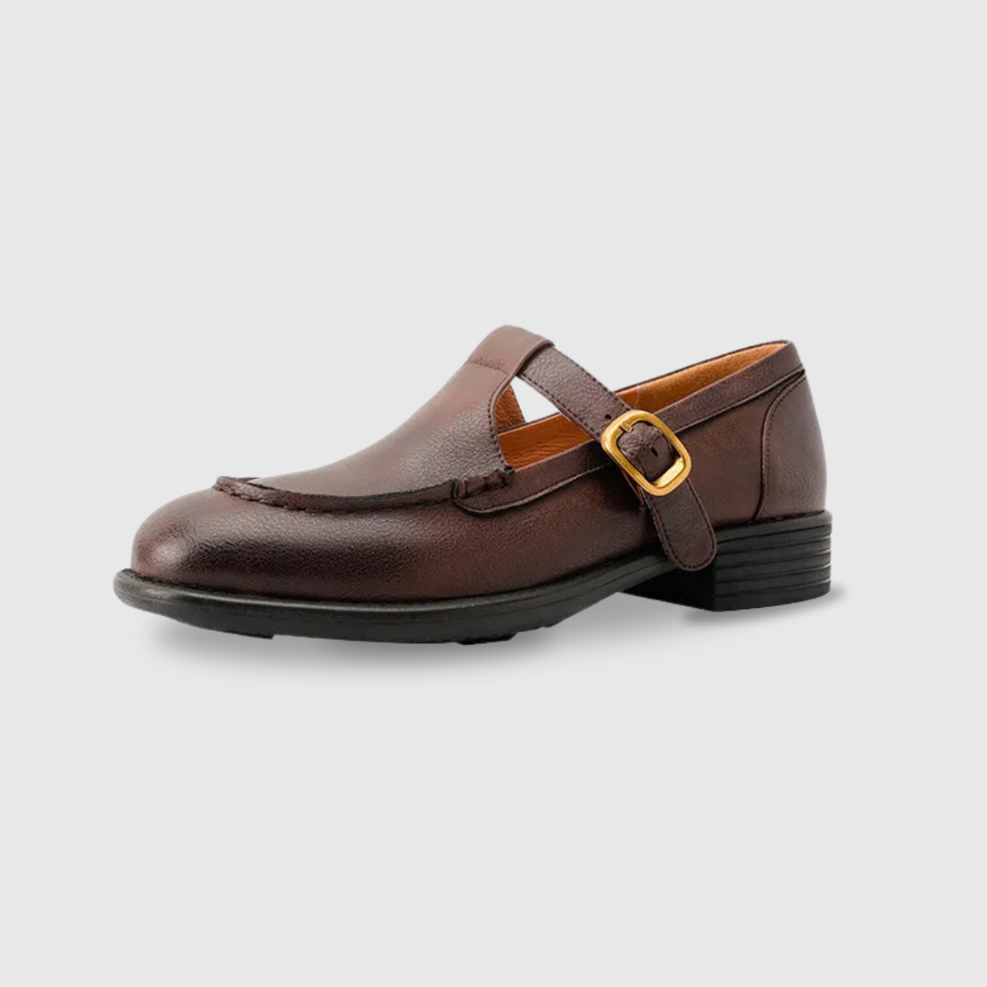 Brown retro mary jane shoes with buckle strap and low block heel