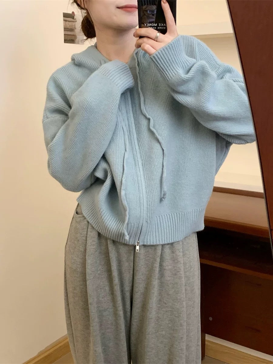 Hooded zip-up cardigan with ribbed trim, light blue knit sweater