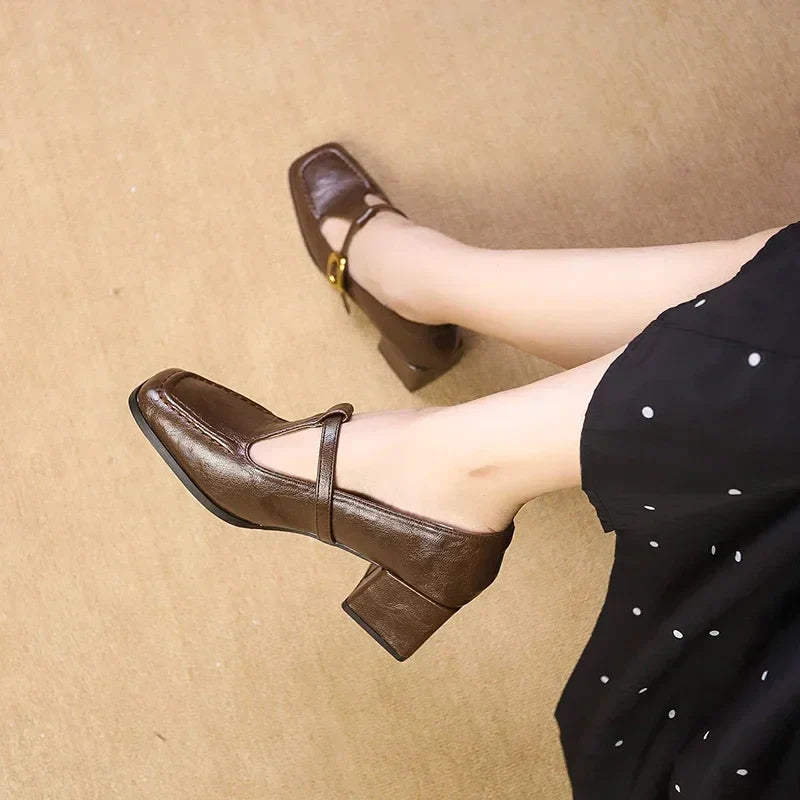 Brown Mary Jane pumps with T-strap, gold buckle, and chunky block heel