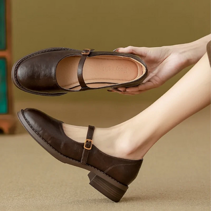 Leather Mary Jane shoes, brown with T-strap buckle, rounded toe, low stacked heel.