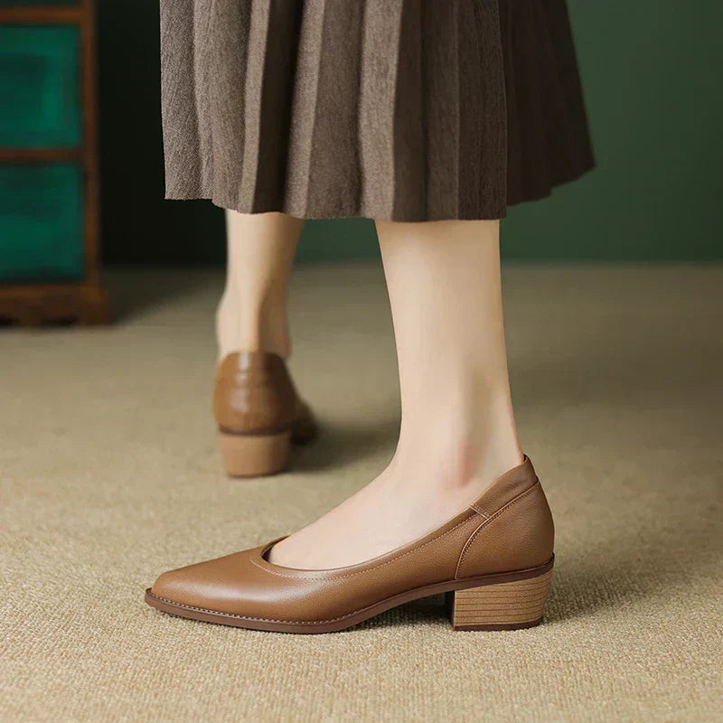 Brown mid heeled shoes with pointed toe and low block heel, front side view