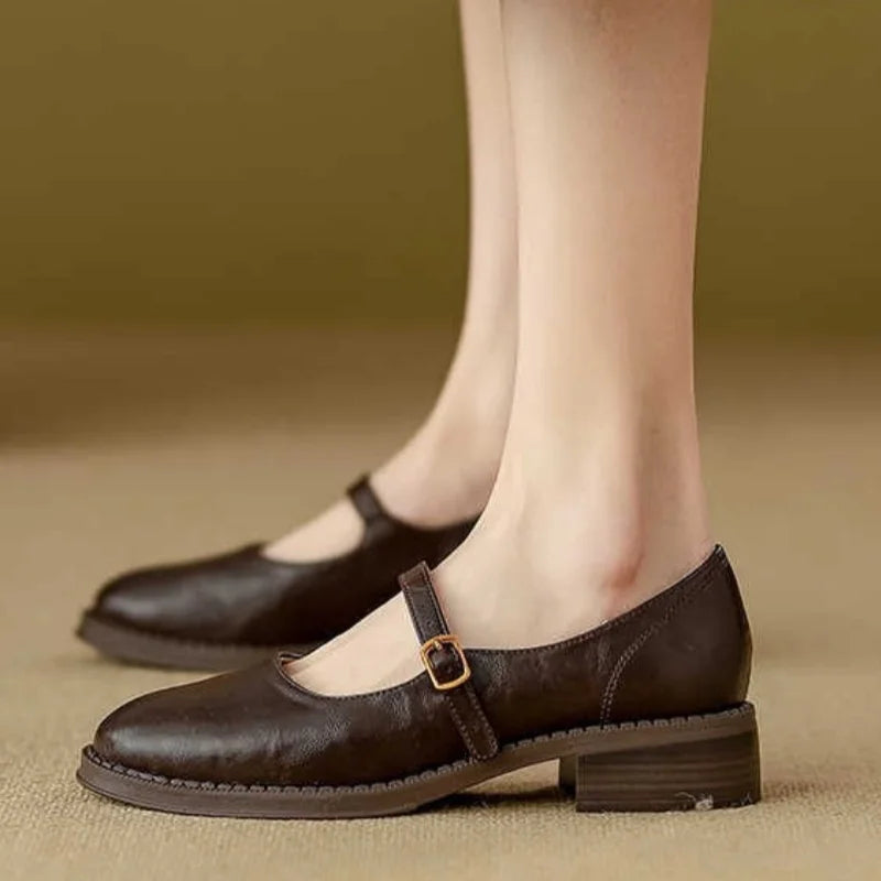 Leather Mary Jane flats, dark brown with T-strap and buckle, low block heel.