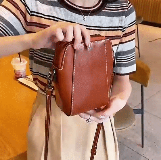 Brown mini crossbody handbag with zipper and sunburst emblem
