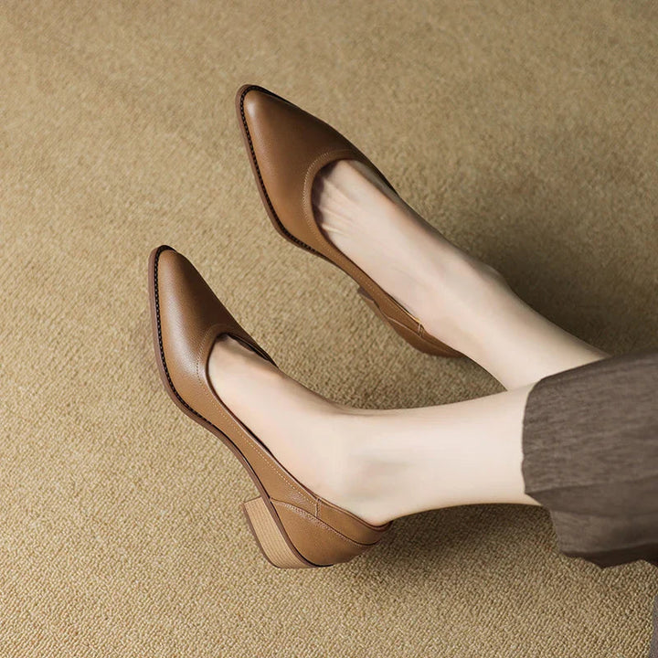 Brown mid heeled shoes with pointed toe and low stacked heel, pair side view
