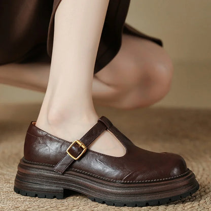 Brown Mary Jane T-bar shoes with gold buckle and thick sole, side view