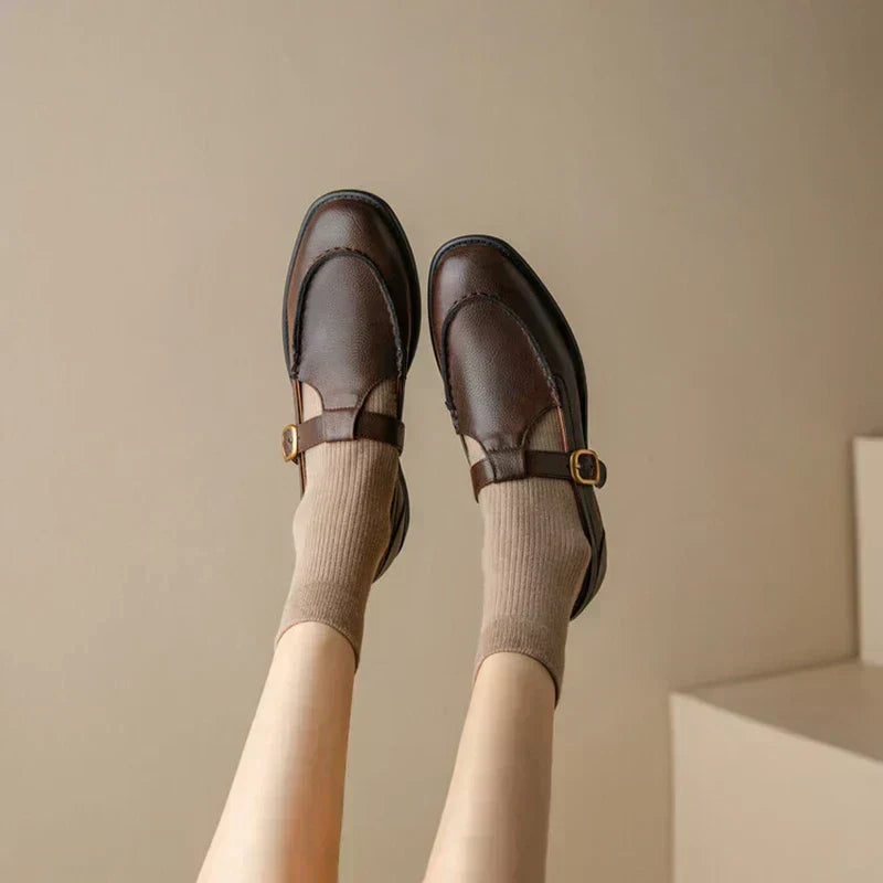 Pair of brown retro shoes with black straps and gold-tone buckles, low block heel