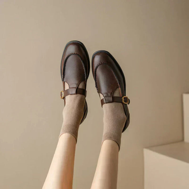 Pair of brown retro shoes with black straps and gold-tone buckles, low block heel