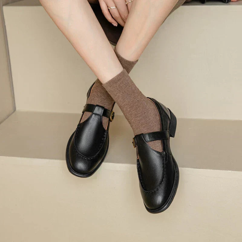 Retro mary jane shoes with brown upper and black buckle strap, low block heel