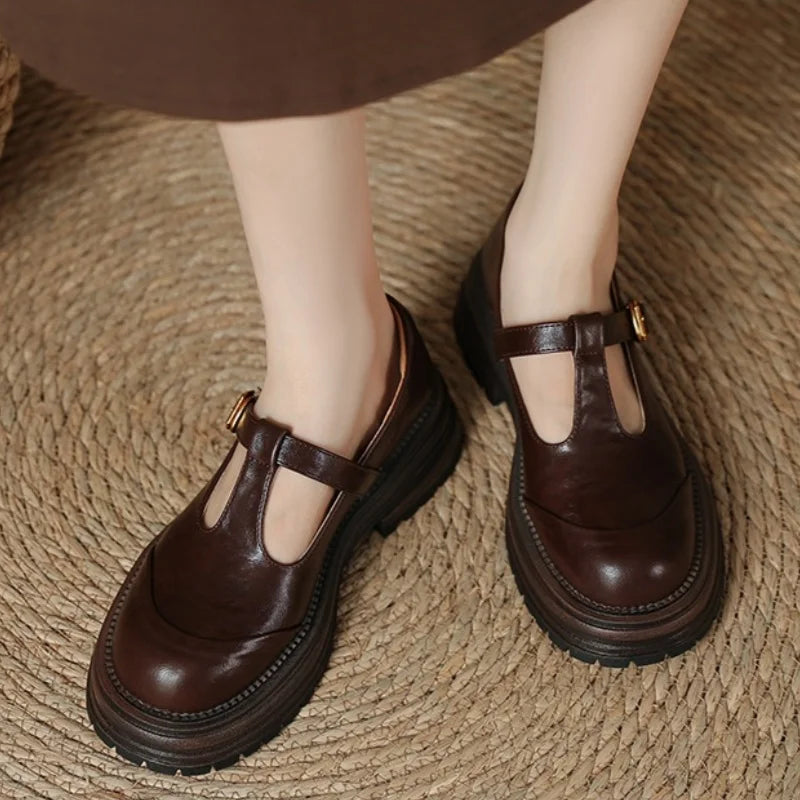 Pair of brown T-bar shoes with cutout strap and gold buckle on chunky sole