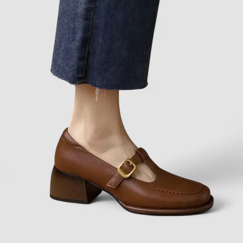 Brown T-strap Mary Jane shoes with thick block heel and buckle strap