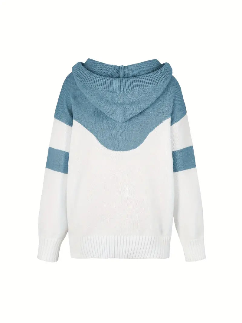 Blue and white dual-tone hoodie with hood and drawstring, back view